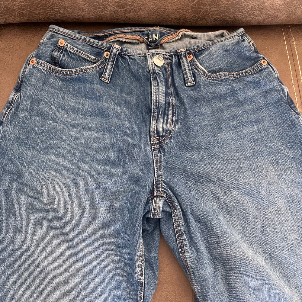 American Eagle Strigid Wide Leg Jeans